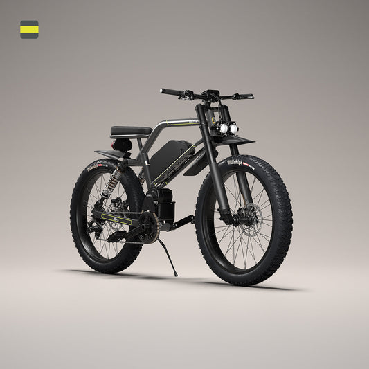 303FS Magnetic Silver