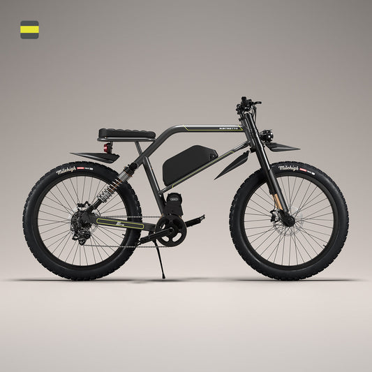 303FS Magnetic Silver