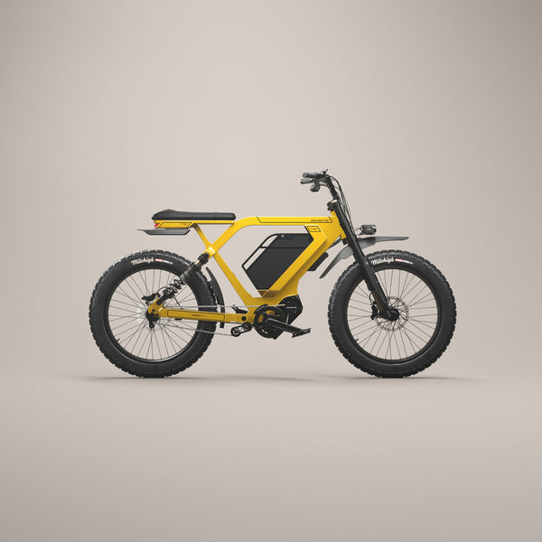 512A24_YellowSamana_ProfileRig